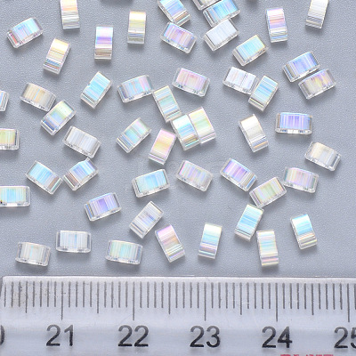 FGB 2-Hole Transparent Glass Seed Beads SEED-S031-M-250-1