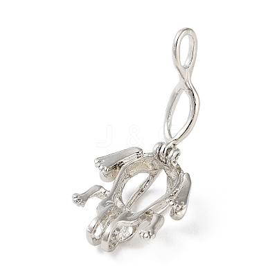 Alloy Bead Cage Pendants LS-FIND-M012-01P-P-1