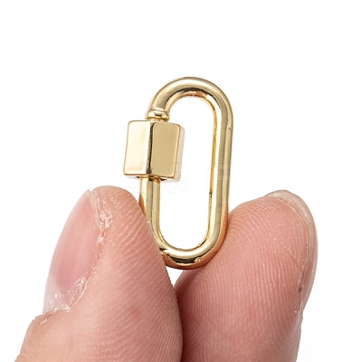 Brass Screw Carabiner Lock Charms KK-T047-08-1