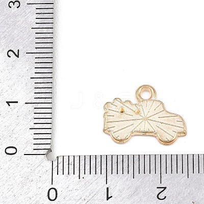 Valentine's Day Alloy Enamel Pendants ENAM-I084-01KCG-01-1