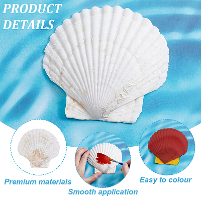 60Pcs Natural Shell Jewelry Decorative Plate AJEW-GA0009-64B-1