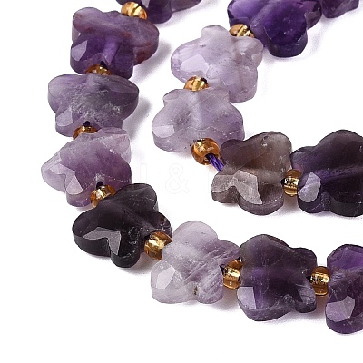 Natural Amethyst Beads Strands G-N371-10A-04-1