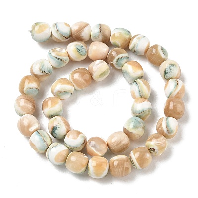 Natural Seashell Shell Beads Strands SH-CBAFEDD-01B-1