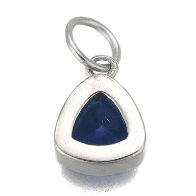 304 Stainless Steel Cubic Zirconia Pendant ZIRC-P080-B11-1