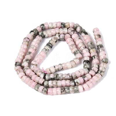 Natural Rhodonite Beads Strands G-Q606-46A-15-1