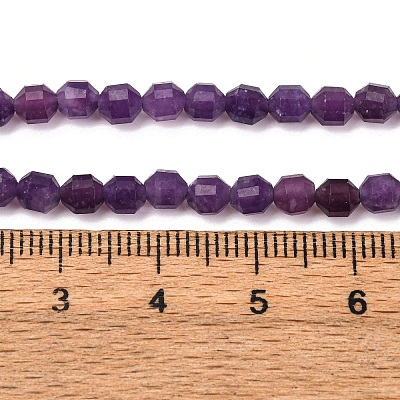 Natural Lepidolite/Purple Mica Stone Beads Strands G-A260-A04-01-1