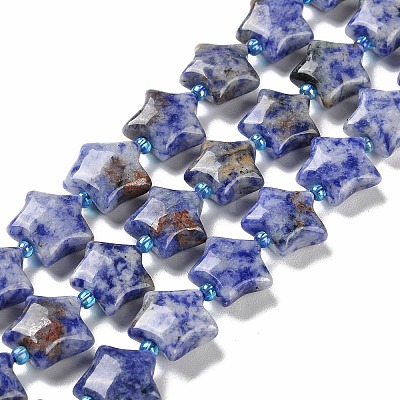 Natural Blue Spot Jasper Beads Strands G-NH0005-002-1