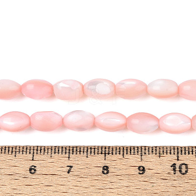 Natural Trochus Shell Beads Strands SHEL-K006-19-01F-1