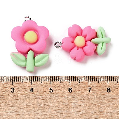 Opaque Resin Pendants RESI-C066-02-1