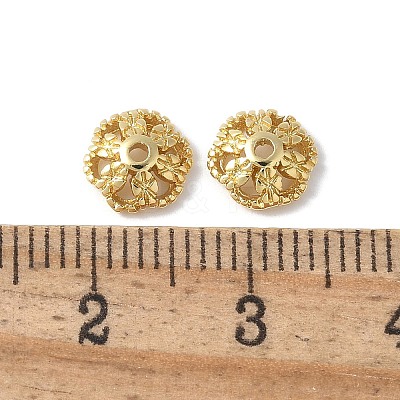 Flower Brass Bead Caps KK-F892-34G-10-1