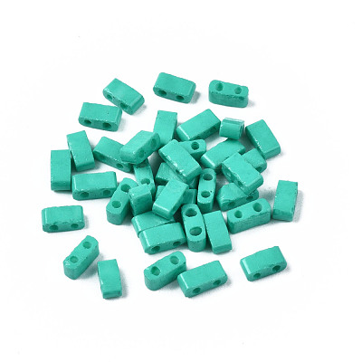 2-Hole Baking Paint Glass Seed Beads SEED-S023-17B-05-1
