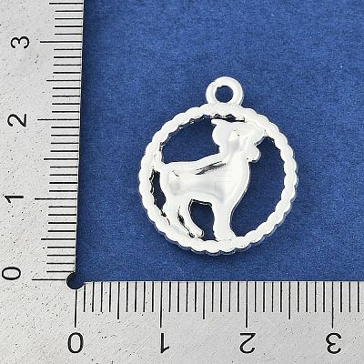 Twelve Constellations Alloy Pendants PALLOY-Q006-01H-S-1