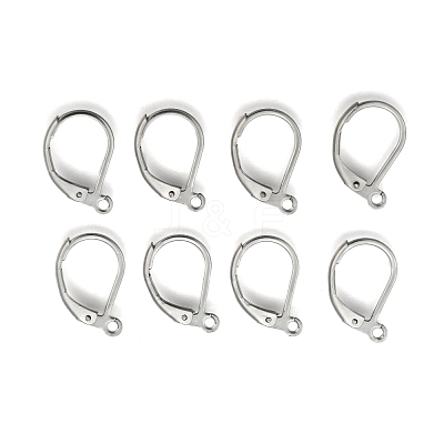 Tarnish Resistant Stainless Steel Color Tone 304 Stainless Steel Leverback Earring Findings X-STAS-E007-3-1