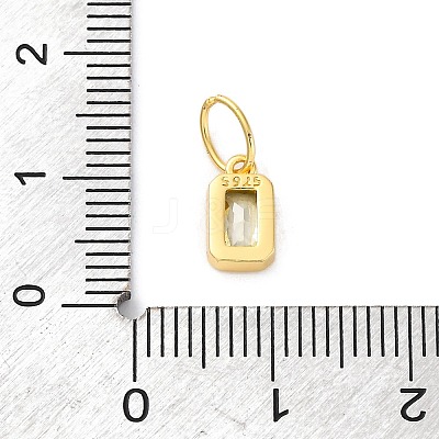 925 Sterling Silver Cubic Zirconia Charms STER-NH0014-01G-08-1