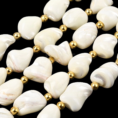 Natural Trochid Shell/Trochus Shell Beads Strands BSHE-A002-07-1