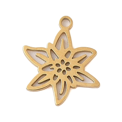 304 Stainless Steel Pendants STAS-S139-06G-01-1