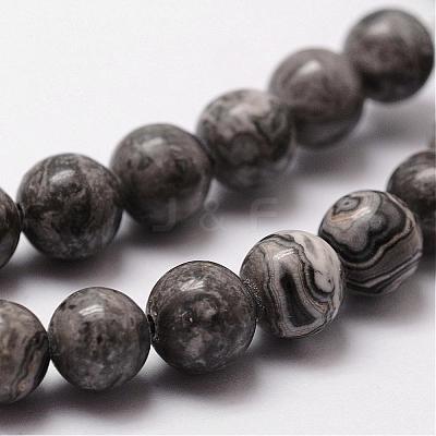 Natural Map Stone/Picasso Stone/Picasso Jasper Bead Strands G-D840-60-12mm-1