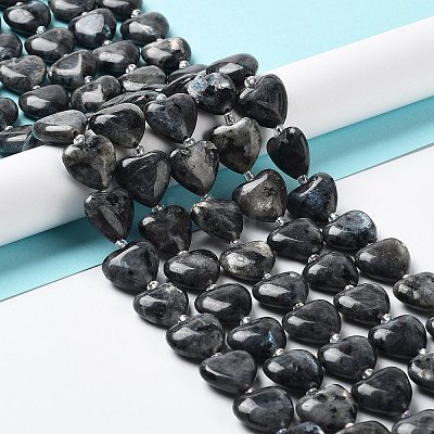 Natural Larvikite Beads Strands G-E614-A24-01-1