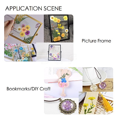 Pressed Dried Flowers X-DIY-H153-A02-1