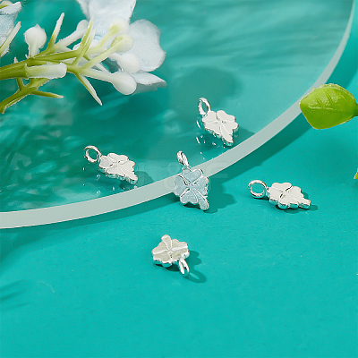 5Pcs 925 Sterling Silver Charms STER-BBC0001-21-1