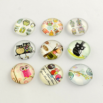 Cartoon Owl Pattern Flatback Half Round/Dome Glass Cabochons GGLA-R026-25mm-06-1