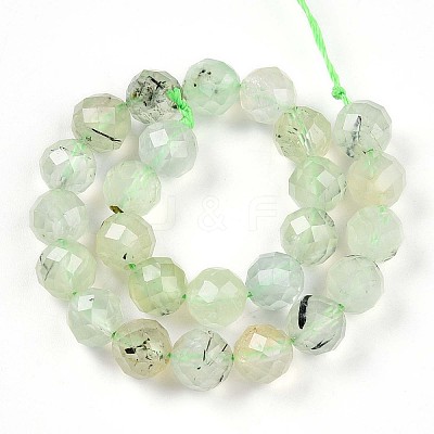 Natural Prehnite Beads Strands G-S345-8mm-28-1