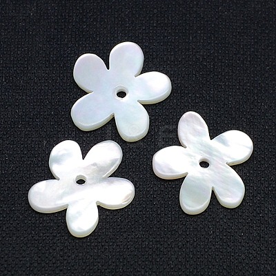 Natural White Shell Beads SSHEL-I008-03-1