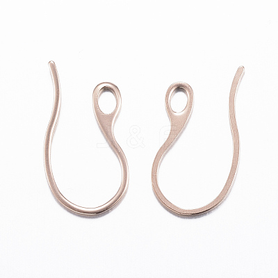 304 Stainless Steel Earring Hooks STAS-H383-28-1