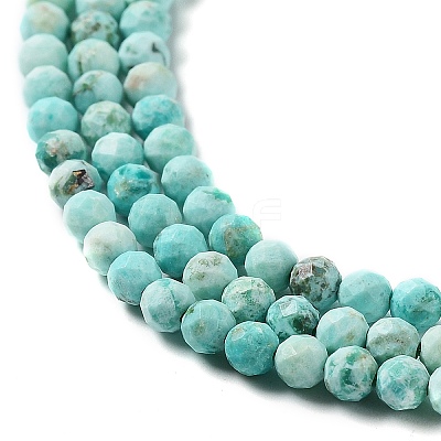 Natural Peruvian Turquoise(Jasper) Beads Strands G-J401-A01-01-1