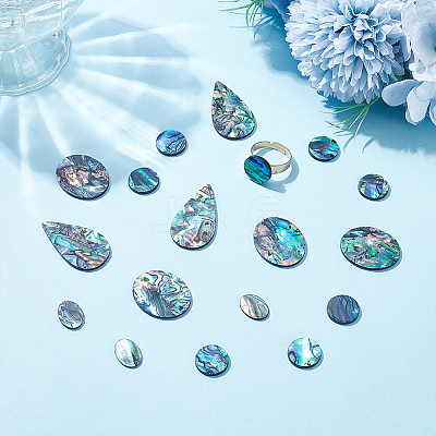 18Pcs 4 Styles Natural Paua Shell Cabochons SHEL-WR0001-10-1