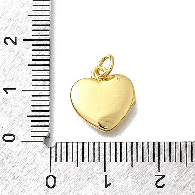 Brass with Enamel Pendants KK-D295-26G-03-1