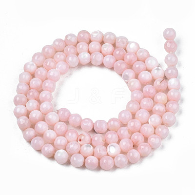 Natural Freshwater Shell Beads Strands SHEL-N003-24-B09-1