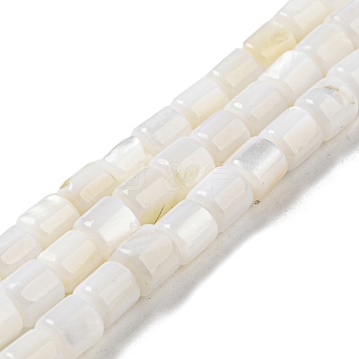 Natural Freshwater Shell Beads Strands SHEL-F008-04A-1