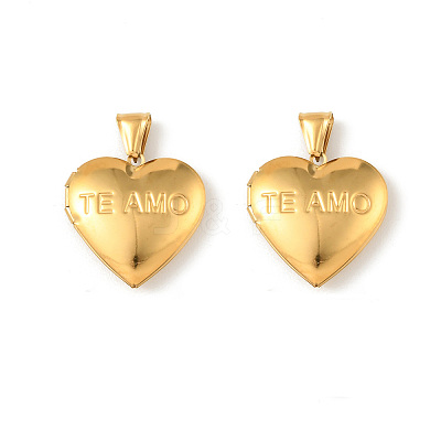 316 Stainless Steel Locket Pendants STAS-K321-21G-1