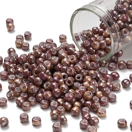 TOHO 6/0 Round Beads X-SEED-TR06-1203-1