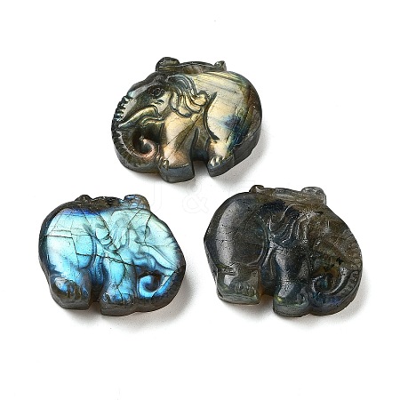 Natural Labradorite Carved Cabochons G-C152-11-1