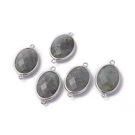 Platinum Tone Brass Natural Labradorite Links connectors X-G-F339-B12-1