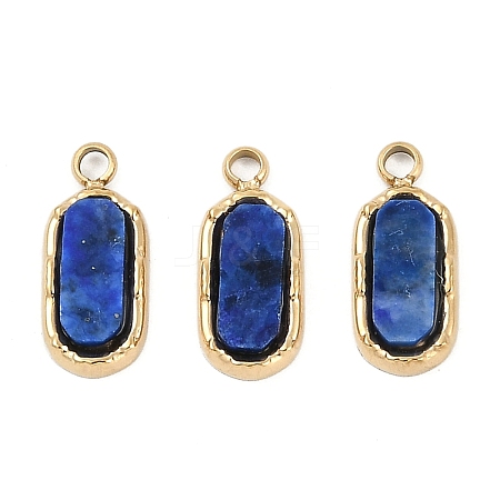 Natural Lapis Lazuli Rectangle Charms STAS-I325-141A-G-1