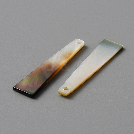 Natural Black Lip Shell Pendants LS-FIND-WH0117-09-1