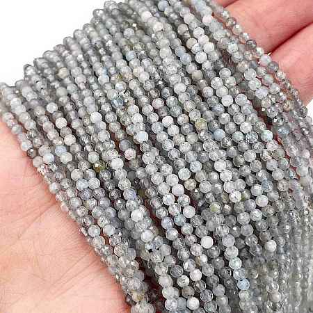 Natural Labradorite Beads Strands X-G-I341-11B-1