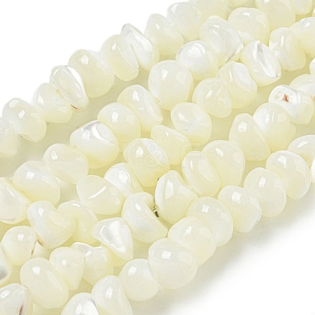 Natural Trochus Shell Beads Strands BSHE-G039-01B-1