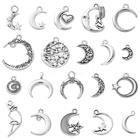 100Pcs 20 Styles Tibetan Style Alloy Pendants TIBEP-CJ0002-24-1