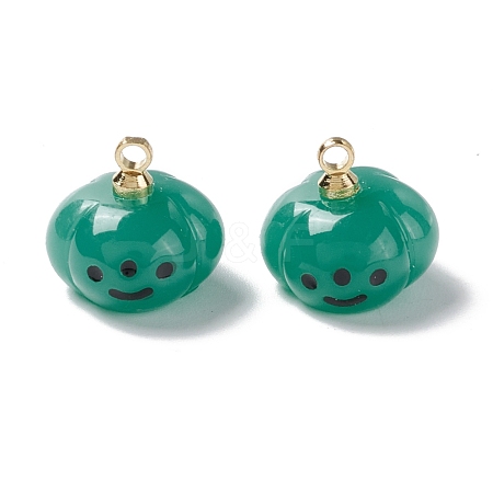 Halloween Opaque Resin Charms RESI-E018-01A-1