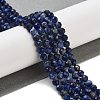 Natural Sodalite Beads Strands G-B088-C03-04-2