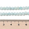 Natural Freshwater Shell Dyed Beads Strands SHEL-R100-12A-02-4