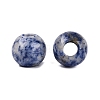 Natural Blue Spot Jasper Beads G-Q608-05H-2