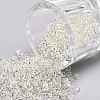 12/0 Glass Seed Beads X2-SEED-A005-2mm-21-1