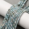 Natural Larimar Beads Strands G-F803-C01-01-1