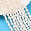 Natural Cultured Freshwater Pearl Beads Strands PEAR-F020-21-1