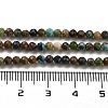 Natural HuBei Turquoise Beads Strands G-G140-A05-02-5